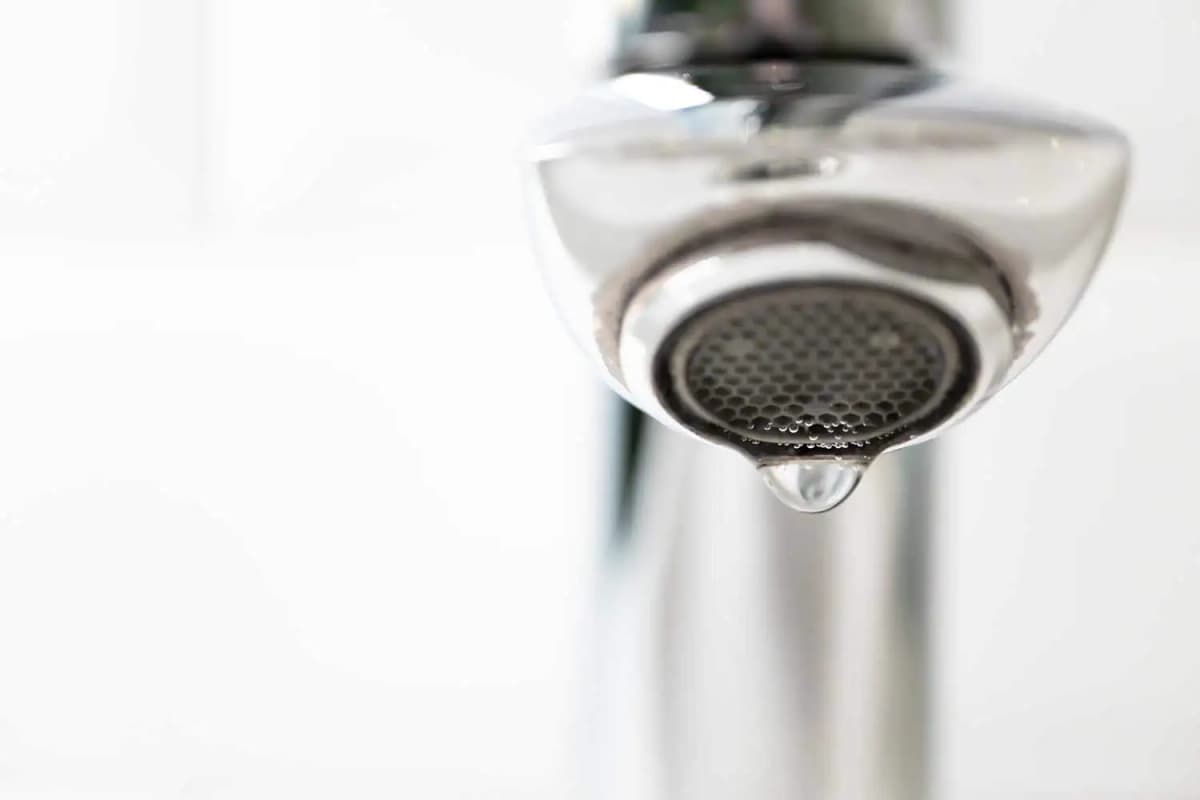 Fast Leak Repairs That Protect Your Home