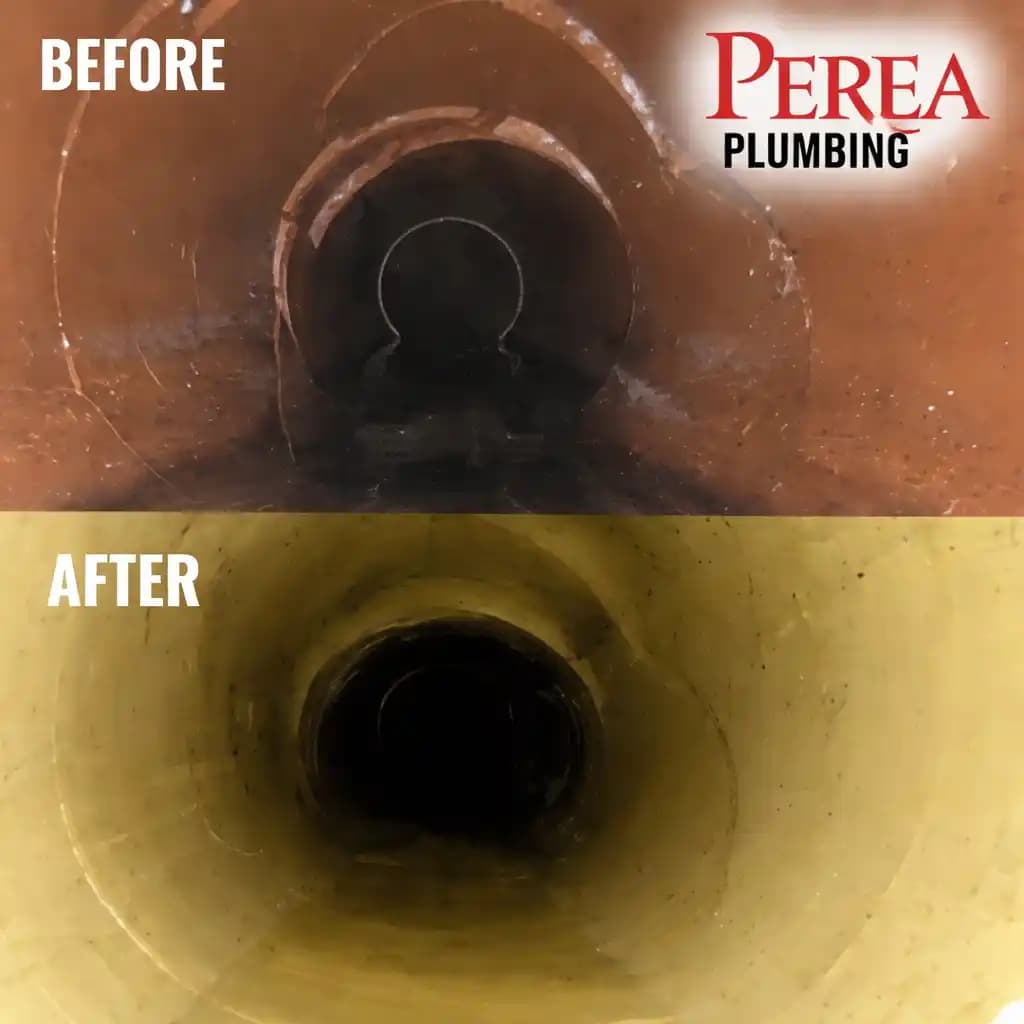 Signs Your Sewer Line Needs Attention